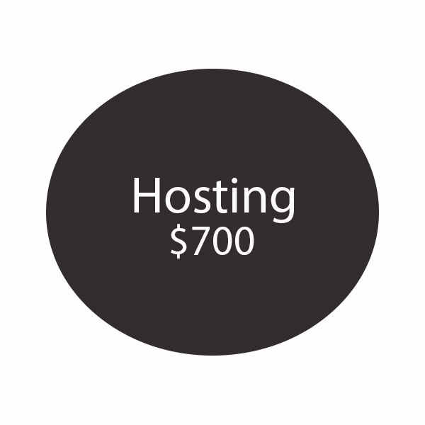 plan de hosting