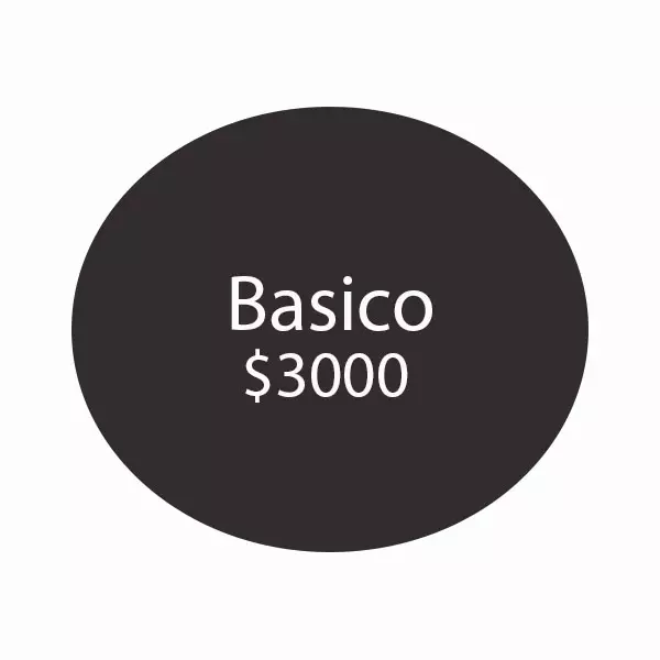 diseño web y hosting basico